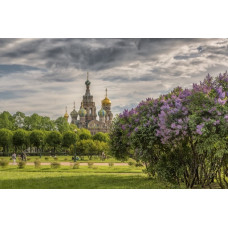 1 day Shore Excursion of St. Petersburg - INTENSIVE (14 hours)