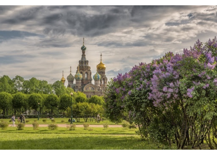 1 day Shore Excursion of St. Petersburg - INTENSIVE (14 hours)
