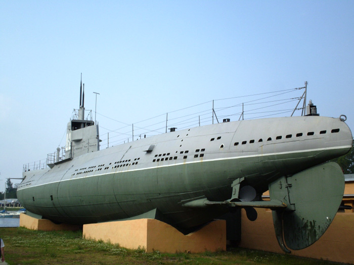 Submarine D-2 Narodovolets